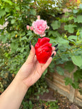 Heart Candle 🫀