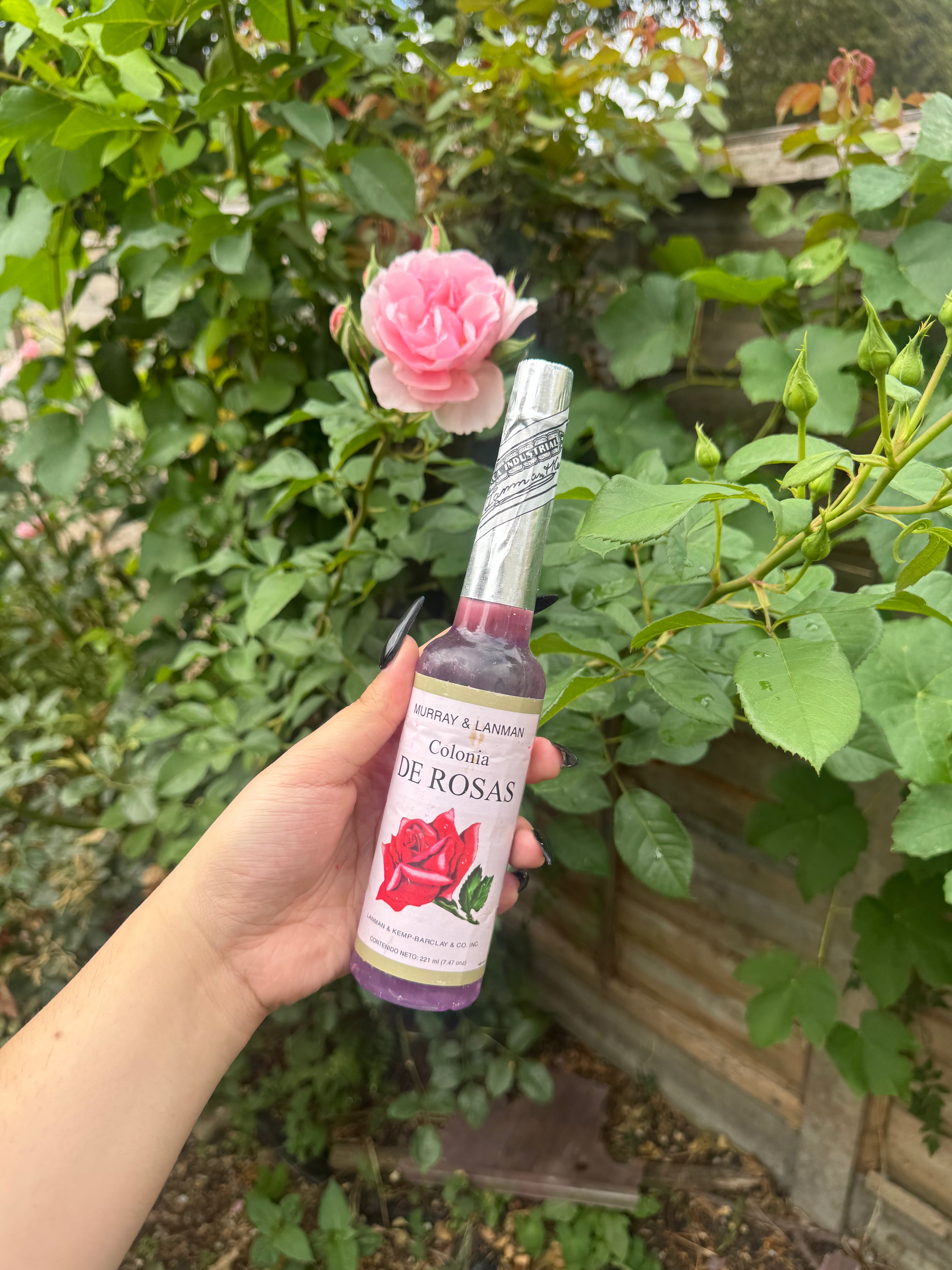 Murray & Lurray | Colonia De Rosas - 221ml (Rose Water)